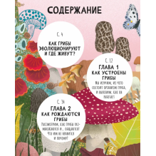 Тайны грибов