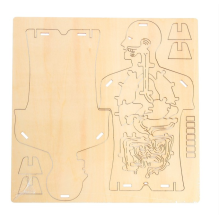 Научный опыт Эврики "Строение тела человека"