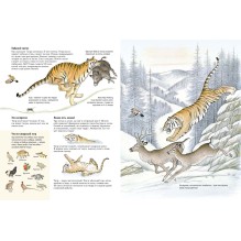 Следы. Жизнь зверей и птиц в картинках и небольших рассказах