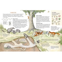 Следы. Жизнь зверей и птиц в картинках и небольших рассказах