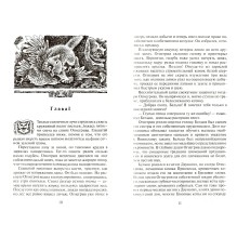 Коты-воители. Бушующая стихия