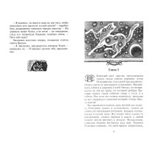 Коты-воители. Битва за лес