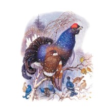 Сказки о зверятах