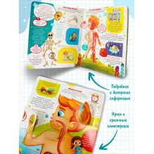 Книжка с окошками. Как устроен человек? Секреты тела человека