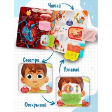 Книжка с окошками. Как устроен человек? Секреты тела человека