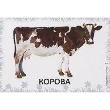 Карточки для умного развития. Кто где живет? Кто что ест? 34 карточки