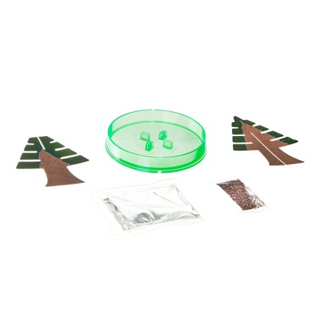 Набор для выращивания кристаллов "Волшебная елочка"