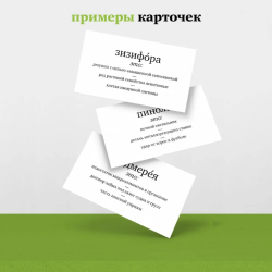 Набор карточек "Второй Ерундопель русского языка"