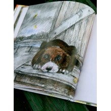 Апельсинные корки