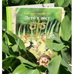 Лето в лесу (2-е издание)