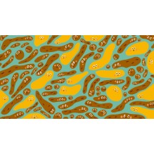 Тайная жизнь мочи и какашек