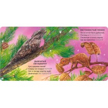 Книжки - картонки. Загадки - рифмы. Животные - невидимки