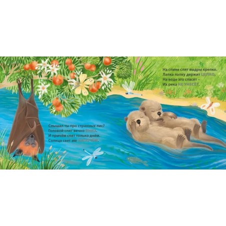 Книжки - картонки. Загадки - рифмы. Кто как спит