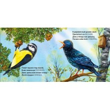 Книжки - картонки. Загадки - рифмы. Такие разные птицы