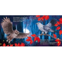 Книжки - картонки. Загадки - рифмы. Такие разные птицы