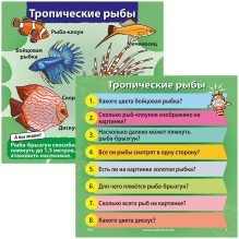 Настольная игра Сундучок Знаний (BrainBox) Природа