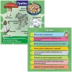 Настольная игра Сундучок Знаний (BrainBox) Природа