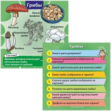 Настольная игра Сундучок Знаний (BrainBox) Природа