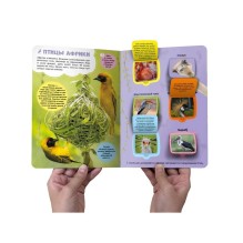 Книжка с окошками "Саванна" 30 окошек