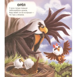 Чудесные превращения. Превращения в природе.