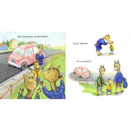 Лама в гостях у бабушки с дедушкой