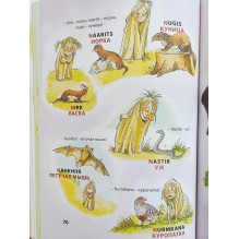 Поки и буквы