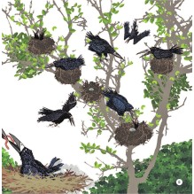 Как собрать автомобиль