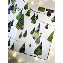 Фрося - ель обыкновенная