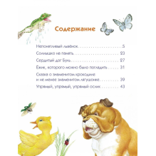 ДХЛ. Непонятливый львенок