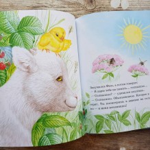 ДХЛ. Непонятливый львенок