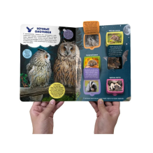 Книжка с окошками "В лесу" 30 окошек