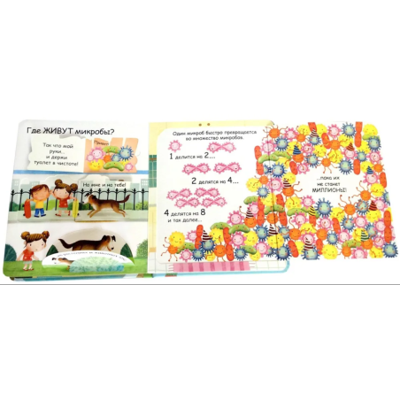 Самые первые окошки. Про микробы