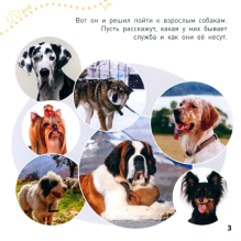 Какие бывают собаки?