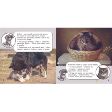 Кто где живёт?