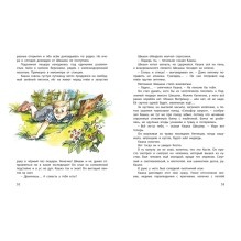 Оруженосец Кашка