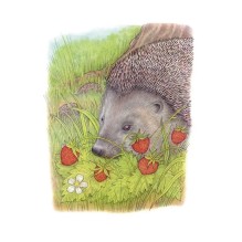 Колючая семейка : рассказы русских писателей