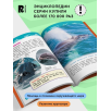 Акулы, киты и дельфины (Энциклопедия для детского сада)