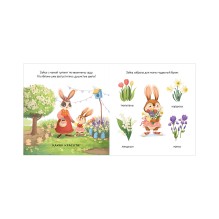 Книжки-картинки. Зайка и чудесная весна