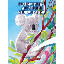 Удивительные животные. Маленький коала. Приключения в эвкалиптовом лесу