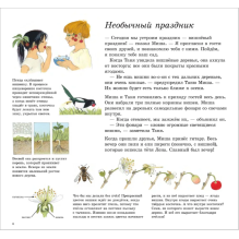 Как растут ягоды, орехи и фрукты?