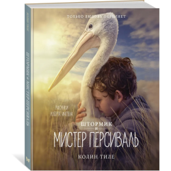 Штормик и мистер Персиваль