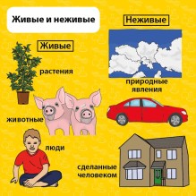 Сундучок знаний "Мои первые знания"