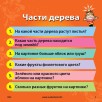 Сундучок знаний "Мои первые знания" Сундучок знаний "Мои первые знания"