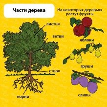 Сундучок знаний "Мои первые знания"