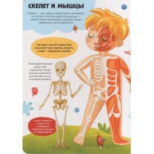 Знания в окошках. Наше тело