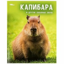 Энциклопедия для детей "Капибара и другие забавные звери"