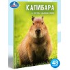 Энциклопедия для детей "Капибара и другие забавные звери"