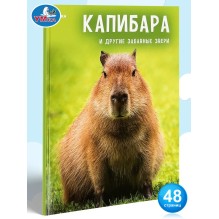 Энциклопедия для детей "Капибара и другие забавные звери"