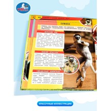 Энциклопедия для детей "Капибара и другие забавные звери"