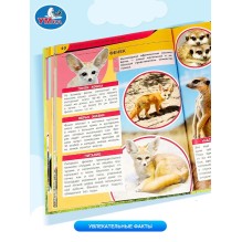 Энциклопедия для детей "Капибара и другие забавные звери"